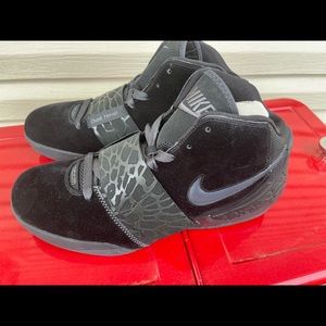 Nike dunk hoop brand new no box